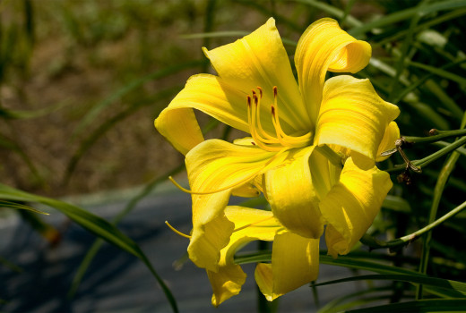 619900 (a): :1600x1075